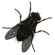 湖边之家恐怖任务游戏v25 最新版