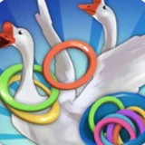 天天套圈小游戏下载v1.0