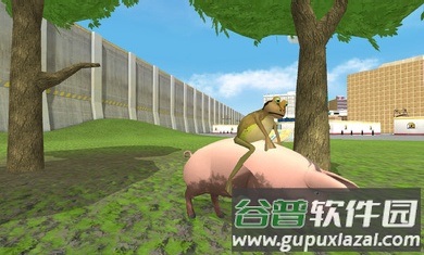 神奇青蛙游戏截图3