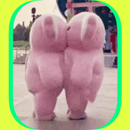 贴贴tietie appv2.8.810