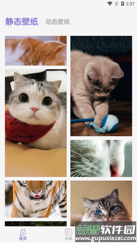 我的猫咪app截图1