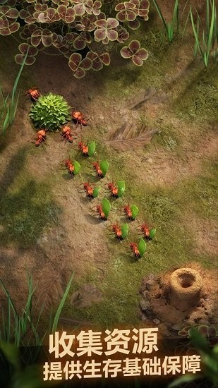 小小蚁国qq登录端截图2