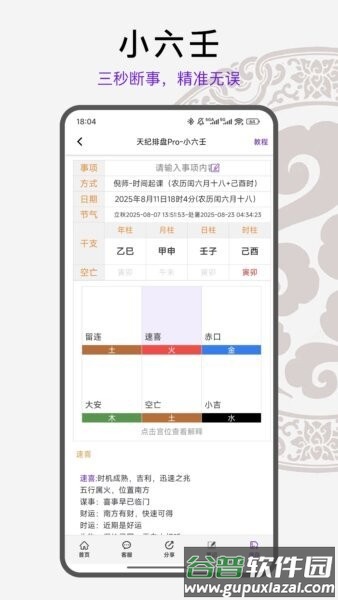 天纪排盘Pro免费版截图2