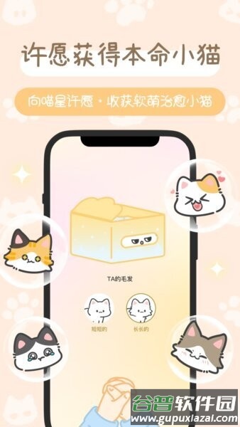 陪宠最新版截图1