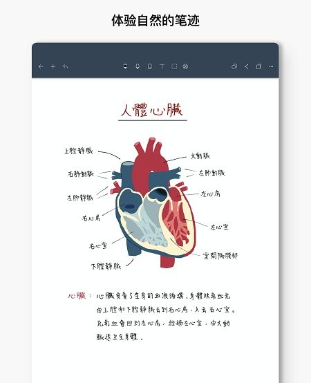 Noteshelf官方中文版截图3