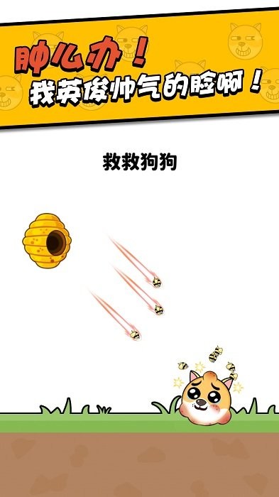救救小狗最新版截图2