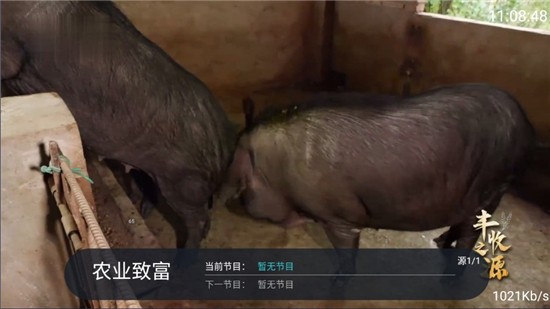 老牛TV电视盒子最新版本截图2