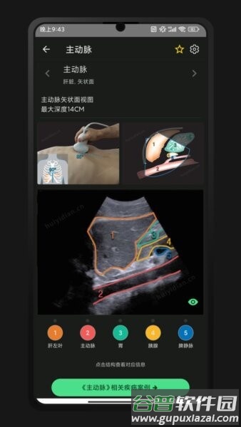 超声智学最新版截图1