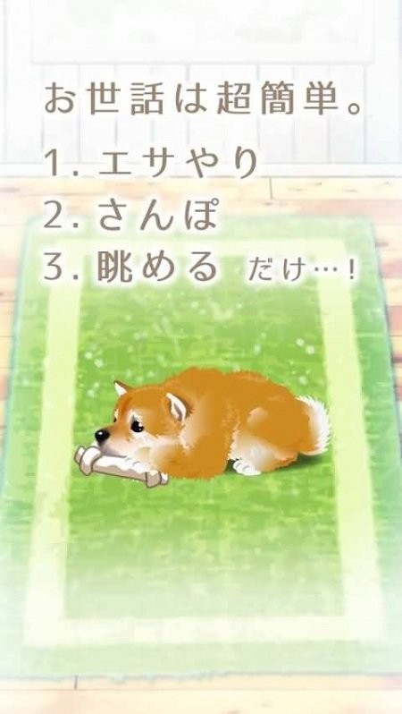 柴犬育成游戏截图1