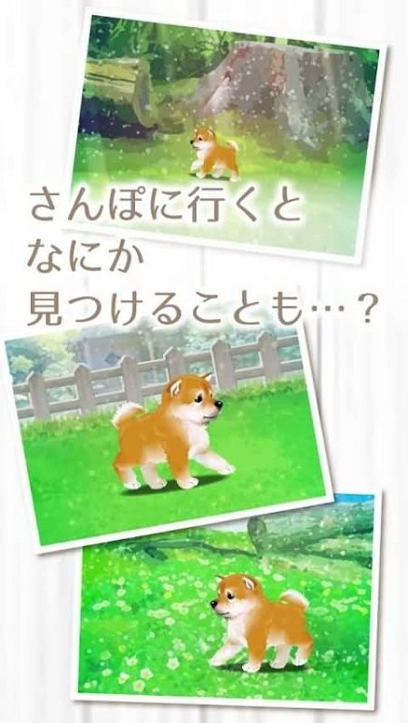 柴犬育成游戏截图2