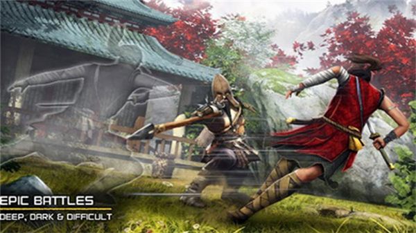 NinjaRyoku手机版截图2