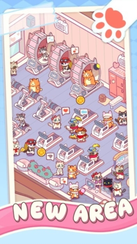 猫咪健身房截图1