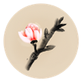 冬蜃楼游戏安卓版下载v1.0.4