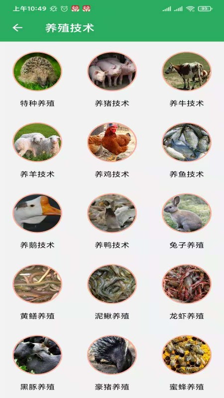 俺们村手机版截图1