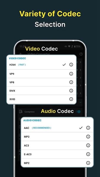 video convertervip高级版截图3