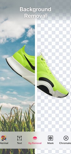 Zoomerang专业版截图4