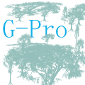 G-Pro官方版v1.0