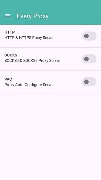 every proxy中文版截图2