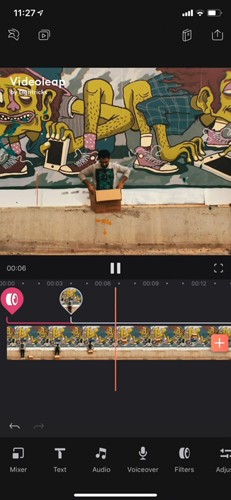 VideoLeap专业版截图7