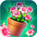 花缘消除乐红包版v1.0.3.273121618