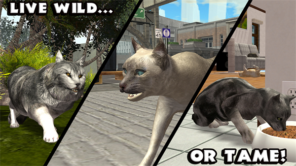 终极猫模拟器无限金币版截图1