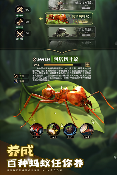 小小蚁国4399官方版截图1