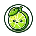 LIME3DS模拟器安卓版v2119.1
