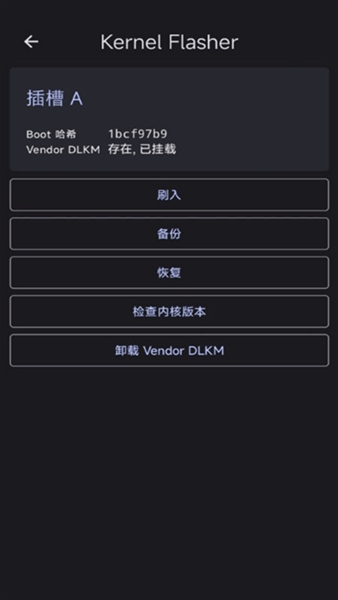 Kernel Flasher共存版截图3
