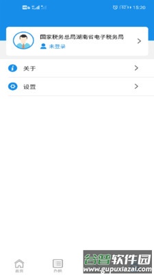 湖南税务app下载安装截图4