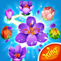 花花传奇最新版v100.218.3.0