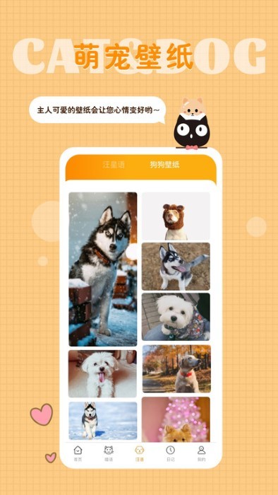 猫语狗语转换器中文版截图4
