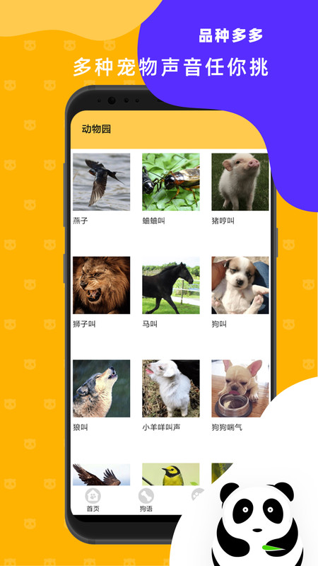猫狗翻译神器app截图4