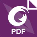 福昕高级pdf编辑器vip解锁版v2026.1.0.0109.1401
