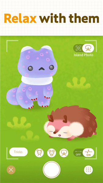 LivlyIsland宠物岛官方版截图2