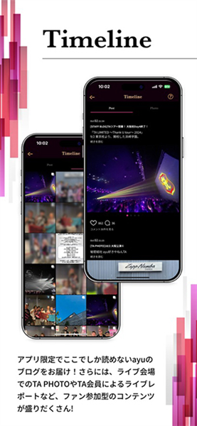 TeamAyu安卓版截图4