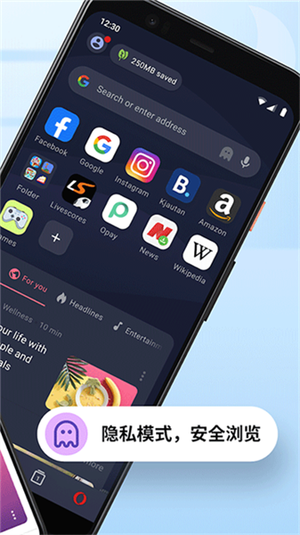 欧朋浏览器迷你版截图2
