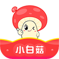 小白菇appv3.4.17