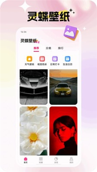 灵蝶壁纸最新版截图1