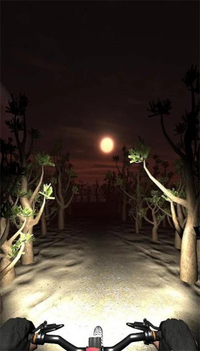 夜骑模拟器Night Ride截图3