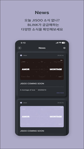 Jisoo bubble截图4