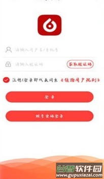 领拍app截图3