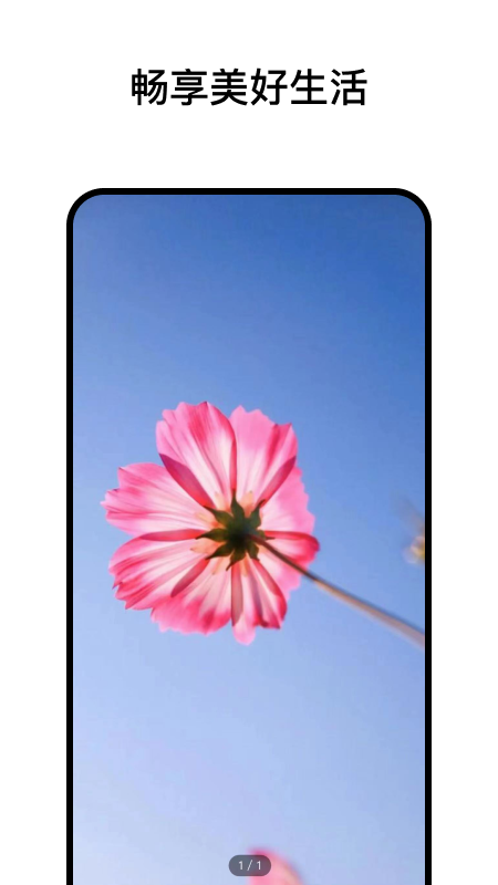 阅小花app截图3