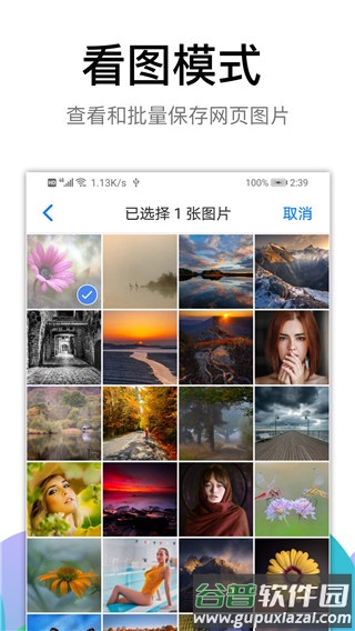 BL黑狮浏览器APP截图1