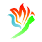 金阳融媒+Appv1.1.3
