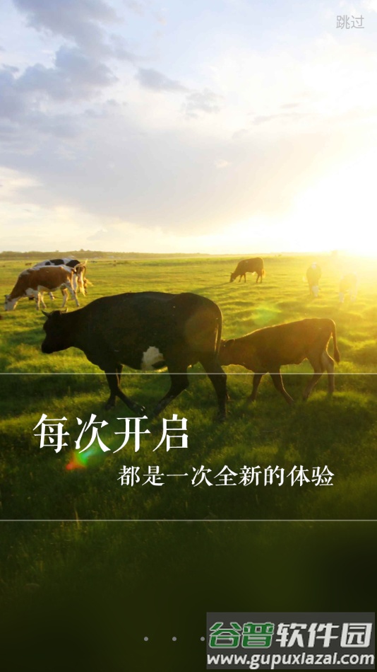 新牛智能app下载安装截图4