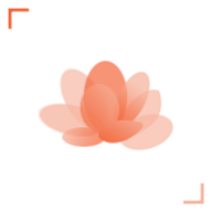 广州鲜花appv1.0