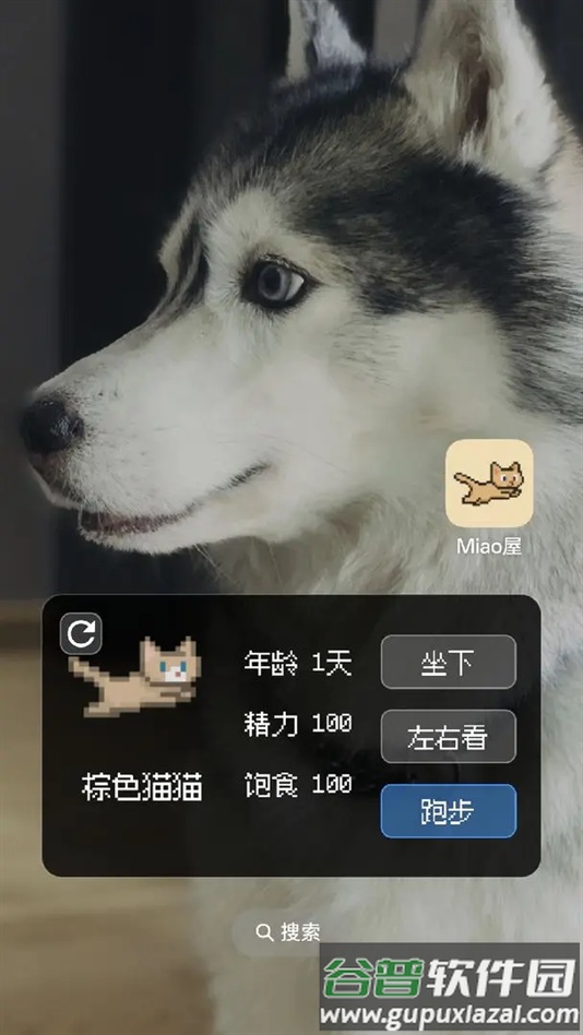 Miao屋手游最新版截图1