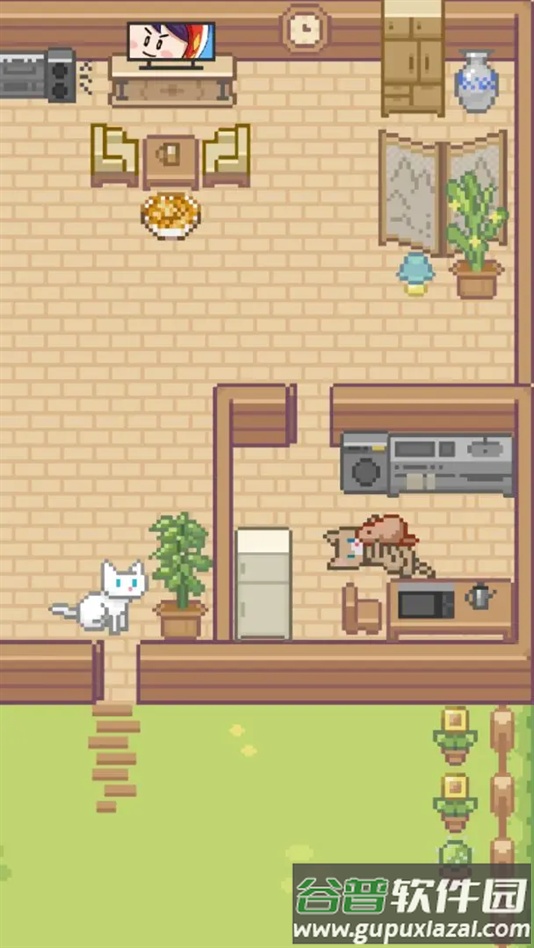 Miao屋手游最新版截图2