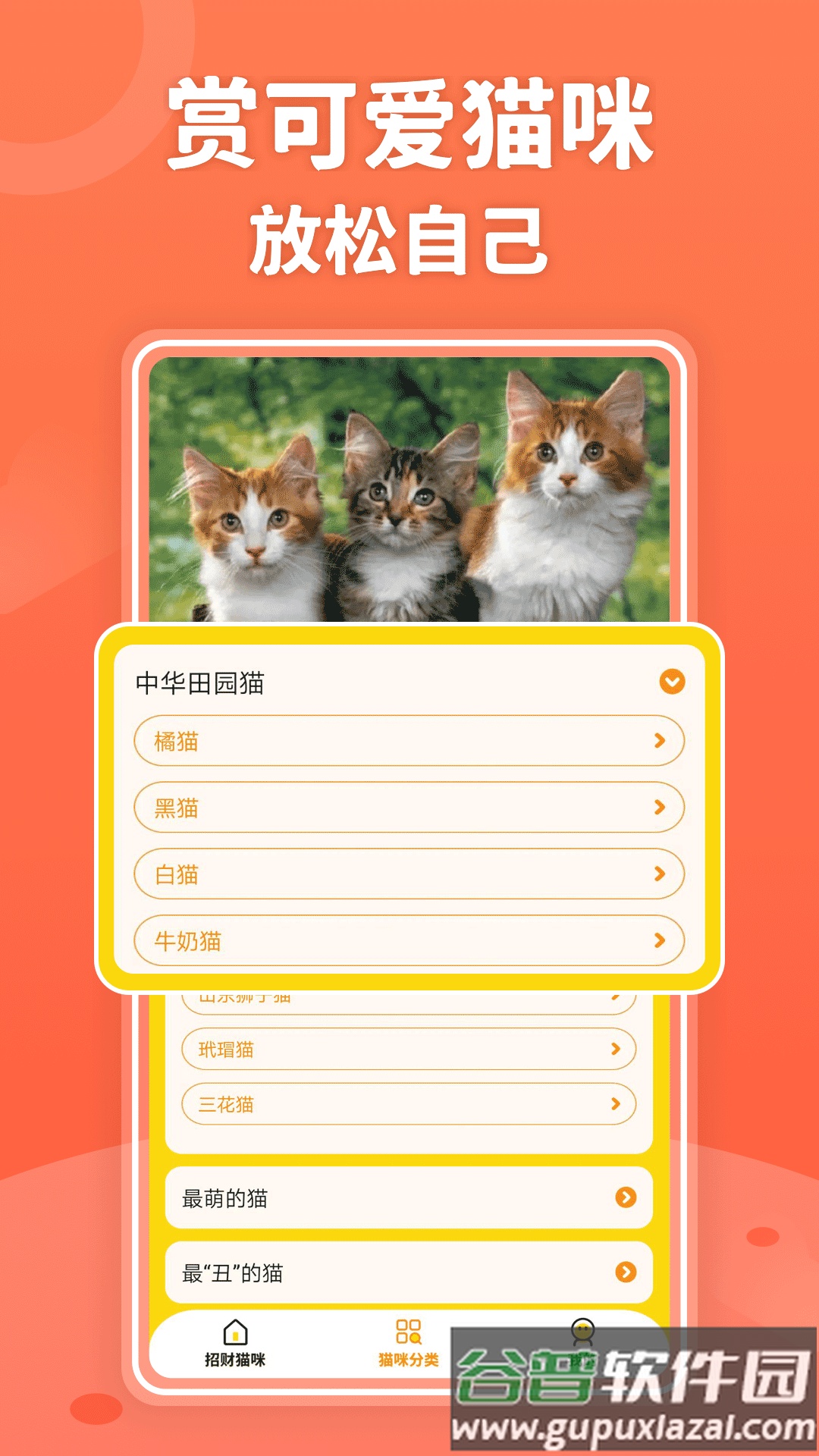 招财进猫截图1