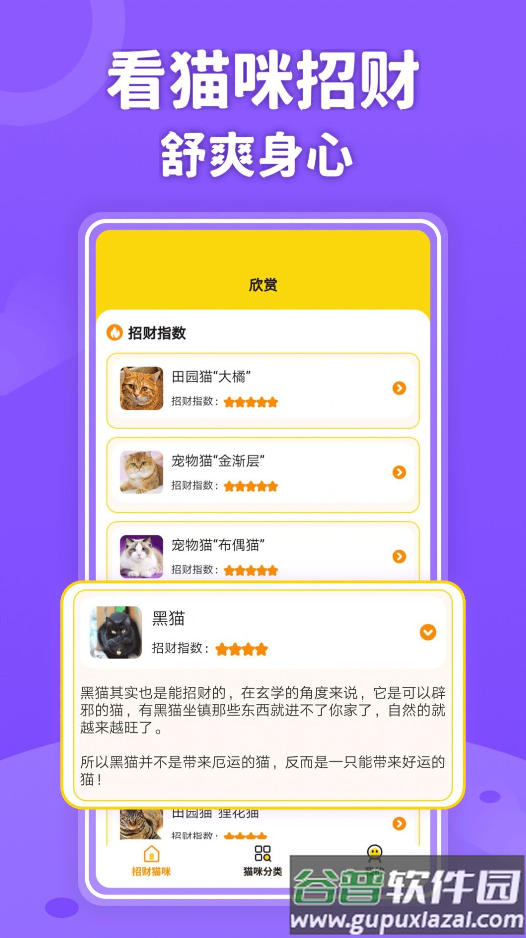 招财进猫截图3